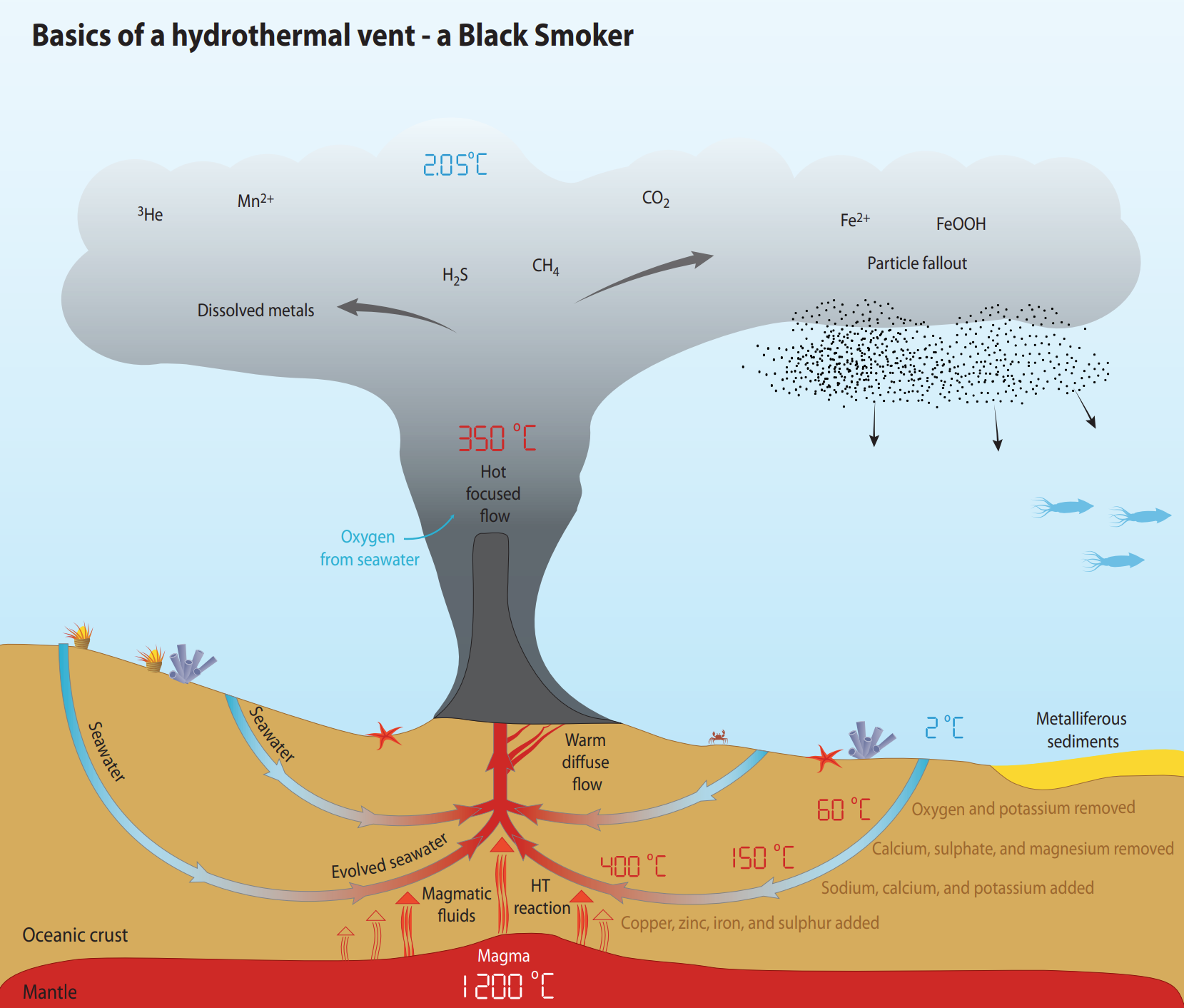 When Life Became Possible
