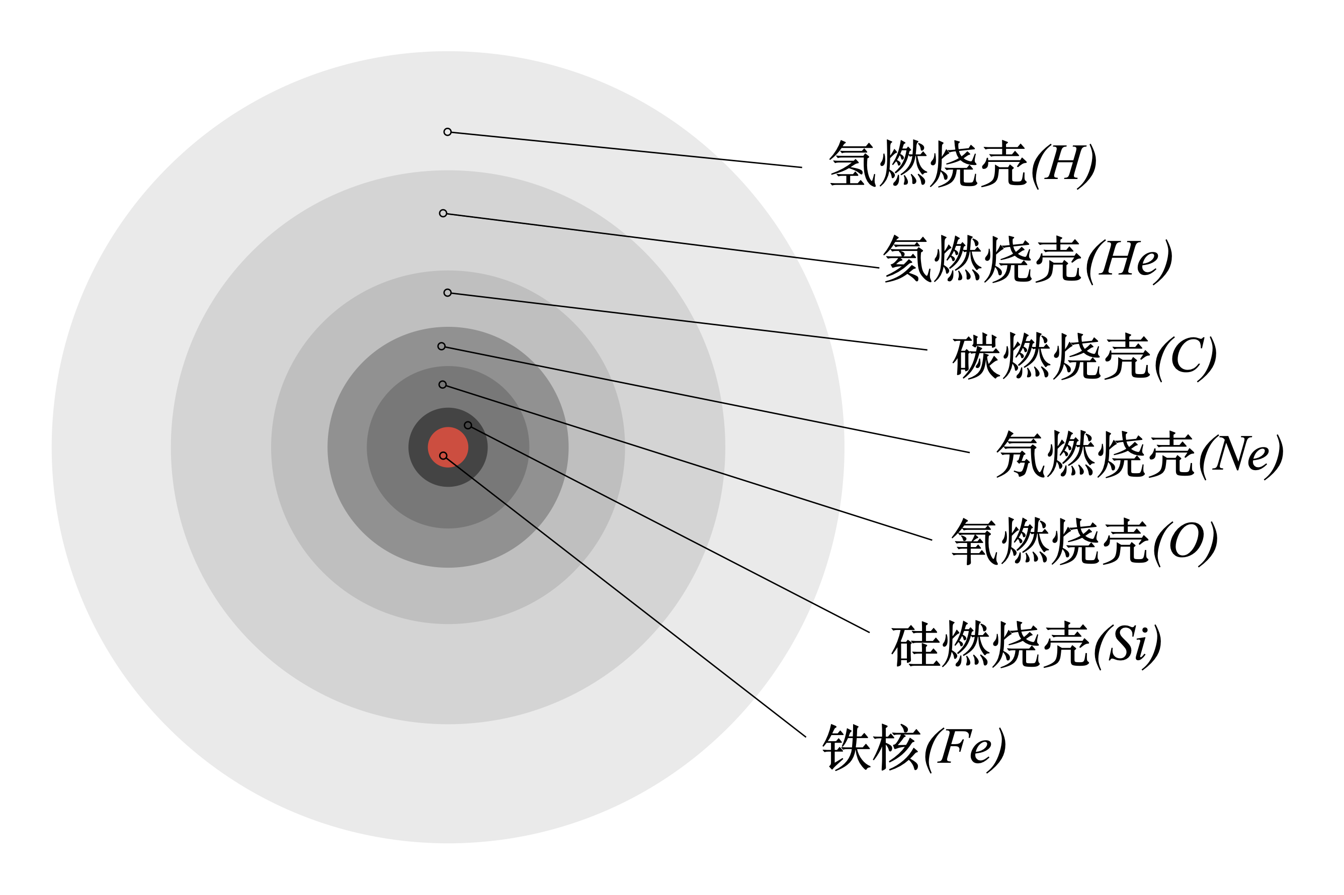 洋葱壳结构示意图