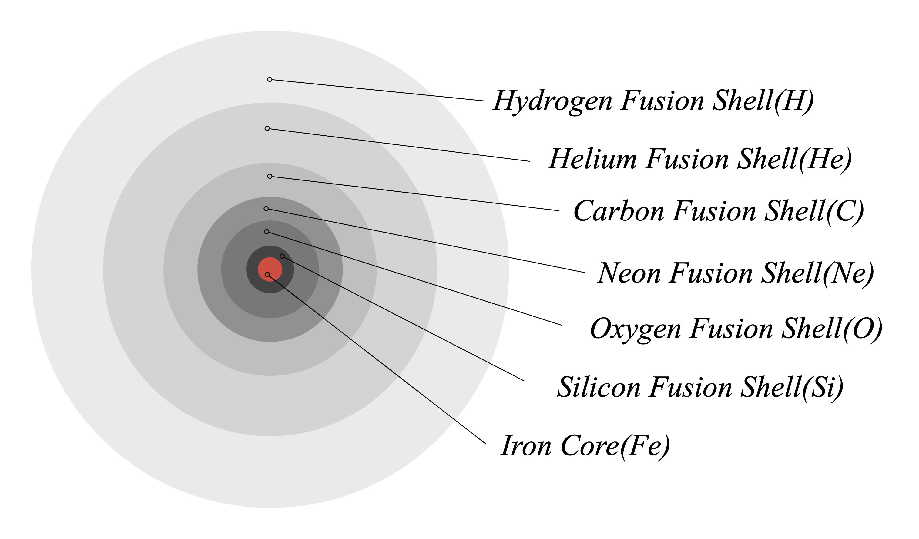 Onion shell structure diagram